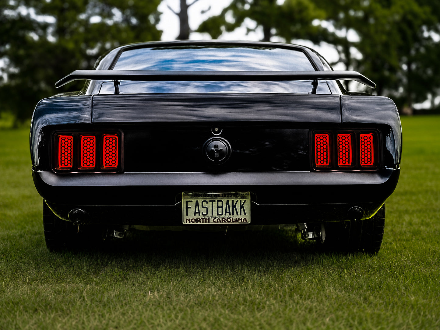 1970 Ford Mustang Halo Tailight Kit